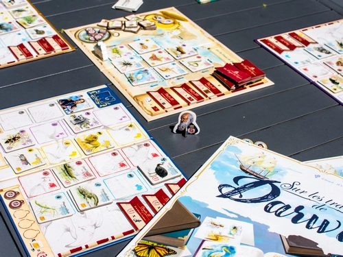 Test du jeu Dans les traces de Darwin